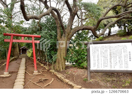 横浜市 こども自然公園の弁天様と大池案内板 横浜市 こども自然公園の弁天様と大池案内板 126670663