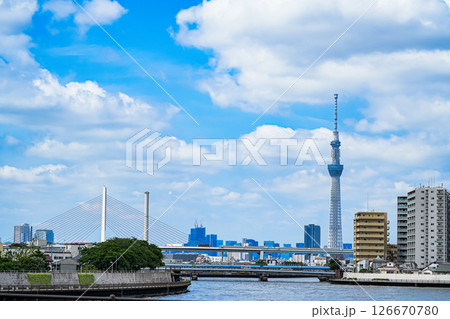 奥戸に流れる中川から望むスカイツリー 126670780