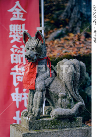 神聖な雰囲気に包まれた金櫻稲荷神社の狐像 山梨県 神聖な雰囲気に包まれた金櫻稲荷神社の狐像 山梨県 126670847