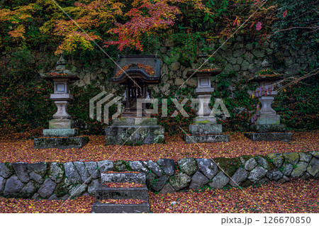 紅葉に彩られた歴史ある石の祠と灯籠が佇む金櫻神社の境内 126670850