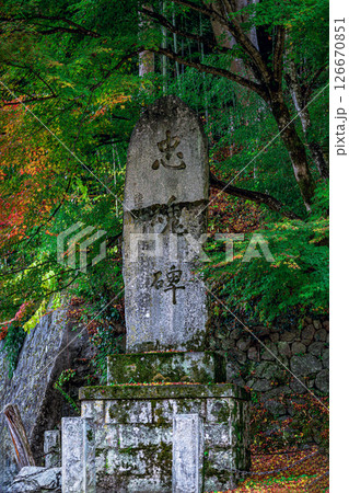 紅葉に包まれた忠魂碑が静かに佇む秋の風景 山梨県 金櫻神社の境内 紅葉に包まれた忠魂碑が静かに佇む秋の風景 山梨県 金櫻神社の境内 126670851