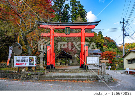 秋色に染まる金櫻神社の鳥居　山梨県 126670852