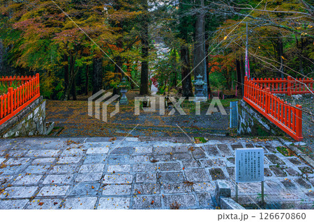 紅葉に彩られた金櫻神社の秋の境内 山梨県 紅葉に彩られた金櫻神社の秋の境内 山梨県 126670860