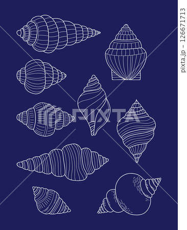 Outline Shell collection. Isolated underwater Spiral sea conch. White linear hand drawing doodle on blue background. Vector illustration 126671713