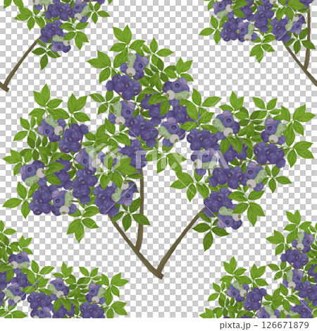 Blueberry tree seamless pattern 126671879