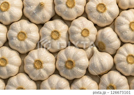 AI generated top view of fresh garlic bulbs with water droplets under daylight showing clean vibrant texture and natural appeal for culinary and organic concepts 126673101
