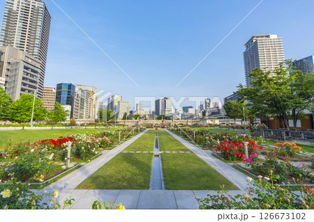 中之島公園　満開のバラ園 126673102