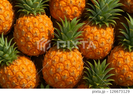 AI generated top view of ripe pineapples with fresh skin and water droplets reflecting daylight for a clean bright vibrant and delicious tropical feeling 126673129
