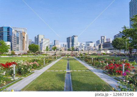 中之島公園　満開のバラ園 126673140