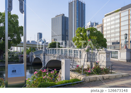 中之島公園　バラの花とばらぞの橋 126673148