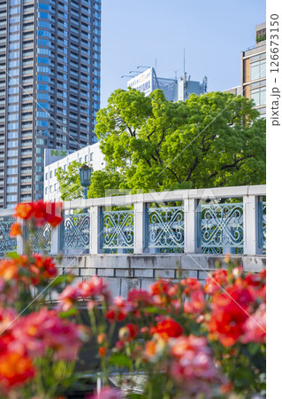中之島公園　バラの花とばらぞの橋 126673150