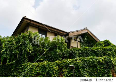 a Japanese traditional style wooden house a Japanese traditional style wooden house 126673267