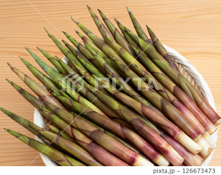 生の根曲がり筍 126673473