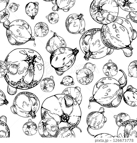 Currant gooseberry in water dew drops, garden berry huckleberry juneberry casseille jostaberry, vector ink hand drawn. Isolated seamless pattern tile. Background wallpaper, packaging cover design Currant gooseberry in water dew drops, garden berry huckleberry juneberry casseille jostaberry, vector ink hand drawn. Isolated seamless pattern tile. Background wallpaper, packaging cover design 126673778