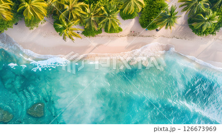 Azure coast of the ocean with palm trees, sand, surf and shells. AI Generated 126673969