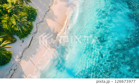 Azure coast of the ocean with palm trees, sand, surf and shells. AI Generated 126673977