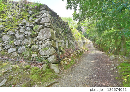 但馬の小京都　豊岡市の「出石城跡」 126674031