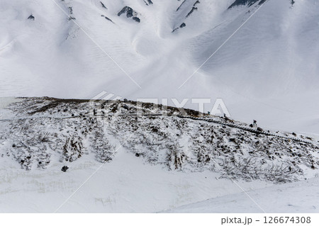 立山のエンマ台から見る早朝の奥大日岳と幻想的なヴィーナスベルト、朝焼け 立山のエンマ台から見る早朝の奥大日岳と幻想的なヴィーナスベルト、朝焼け 126674308
