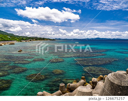 崎本部ゴリラチョップ 126675257