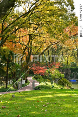 Photo of the path in the autumn forest 126675447