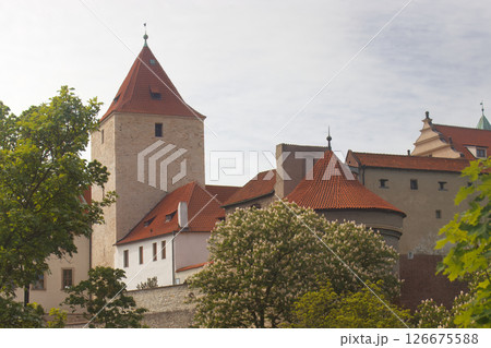 Historic Castle with Red Rooftops and Green Trees Under a Blue Sky 126675588