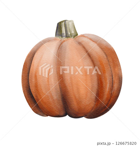 Orange ripe pumpkin. Medium size. Halloween decor. Autumn harvest. Horrible gloomy vegetables for face carving. Watercolor illustration isolated from background. Hand drawing High quality illustration 126675820
