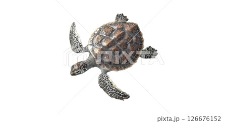 Realistic Sea Turtle Illustration. Marine Life And Conservation Symbol Isolated On Transparent Background 126676152