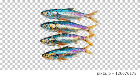 Four Vibrant Iridescent Fish. Marine Life And Biodiversity Concept Isolated On Transparent Background 126676178