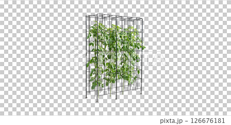 Vertical Garden Trellis With Lush Green Plants. Urban Gardening And Space Optimization Isolated On Transparent Background 126676181
