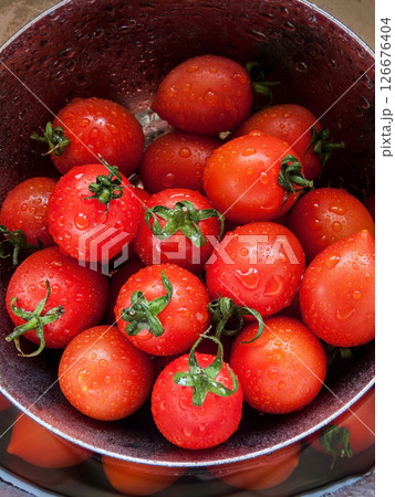 Bunch of fresh red cherry tomatoes rinsed in the bowl with water in the sink, close up of tomatoes in the bowl covered with water drops. 126676404