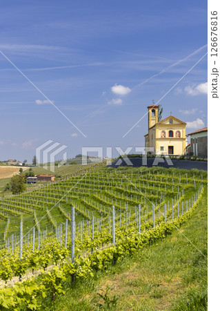 Vineyards covering the hills surrounding a church in Dogliani, Piedmont, Italy Vineyards covering the hills surrounding a church in Dogliani, Piedmont, Italy 126676816