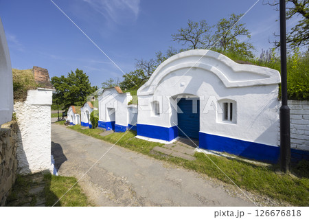 Picturesque wine cellars stretching along a path in Petrov Plze, Czech Republic 126676818