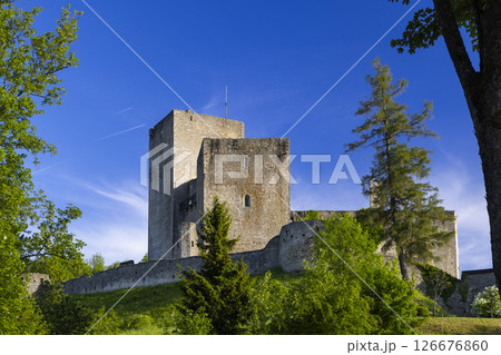 Landstejn Castle rising above green trees in Stare Mesto pod Landstejnem, Czechia 126676860