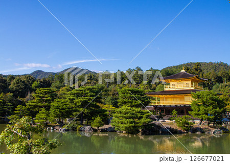 快晴の京都 金閣寺 快晴の京都 金閣寺 126677021