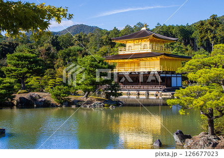 快晴の京都 金閣寺 快晴の京都 金閣寺 126677023