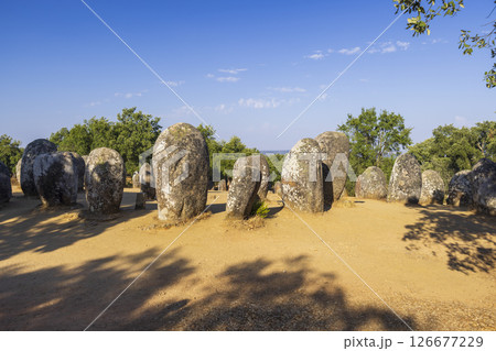 Cromeleque dos Almendres near Evora, Portugal, casting long shadows on a sunny day 126677229