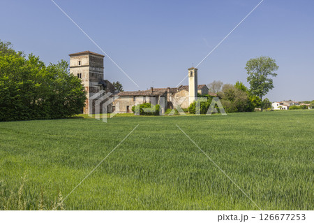 Abandoned rural building dominating green wheat field in Pojana Maggiore, Veneto, Italy 126677253