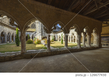 Cloister of Collegiate Church of Saint Pierre framing inner courtyard in La Romieu, France 126677430