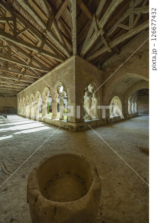 Cloister of Collegiate Church of Saint Pierre illuminating stone font in La Romieu, France Cloister of Collegiate Church of Saint Pierre illuminating stone font in La Romieu, France 126677432