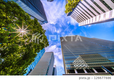 日本の東京都市景観5月28日。新緑の大手町。大手町プレイスやアーバンネット大手町ビルなどを望む 126677886