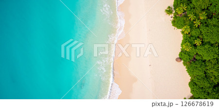 Aerial photo of tropical beach with palm trees lush green forest and clean white sand meeting turquoise ocean water 126678619