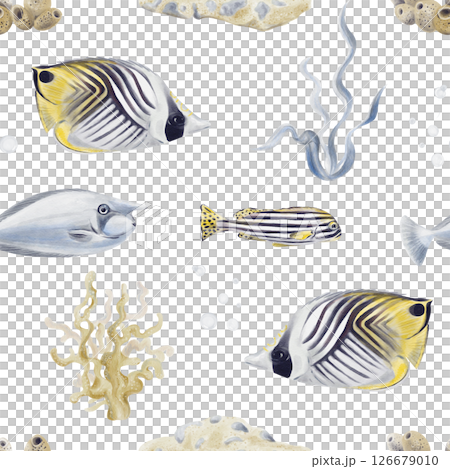 Seamless pattern with tropical fish. Striped exotic fish. Underwater world. Algae and corals. Seabed. Ocean world. Watercolor illustration without background. Hand drawing. High quality illustration Seamless pattern with tropical fish. Striped exotic fish. Underwater world. Algae and corals. Seabed. Ocean world. Watercolor illustration without background. Hand drawing. High quality illustration 126679010