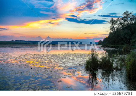 Dramatic sunset over the lake.Water lilies on the lake. 126679781
