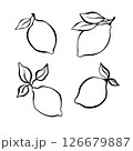 Vetor illustration. Set with lemon and leaves 126679887