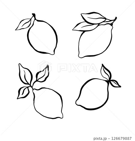 Vetor illustration. Set with lemon and leaves 126679887