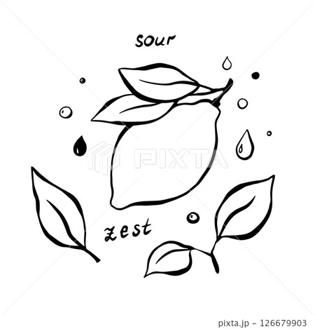 Vetor illustration. Set with lemon and leaves 126679903
