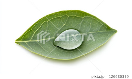 Glistening water droplet resting on a vibrant green leaf embodies nature, purity, and sustainability, ideal for eco conscious and environmental projects 126680359