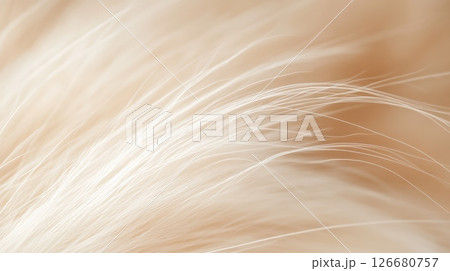 Close up view highlighting the delicate texture of soft, white fur, creating a gentle and soothing visual experience with its subtle color variations and fine details 126680757