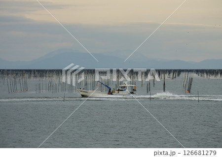 大牟田市 有明海 海苔畑、 大牟田市 有明海 海苔畑、 126681279