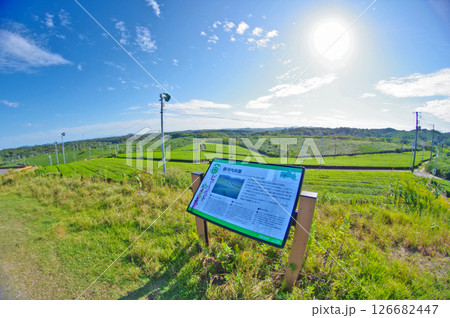 山口県宇部市の人気ビュースポット藤河内茶園と青空 126682447